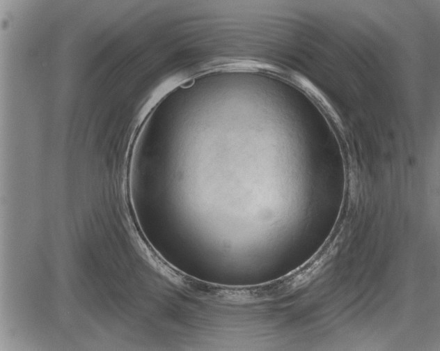 X0000083611194200702201241