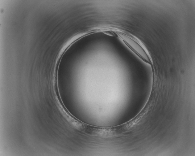 X0000083611195200702201241