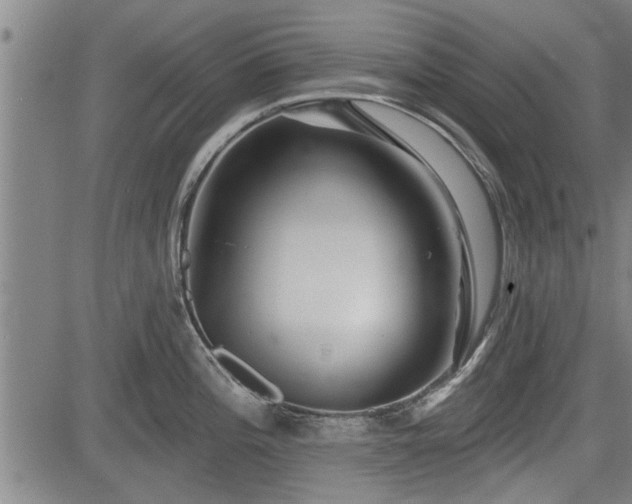 X0000083611196200702201241