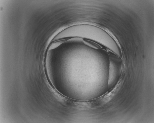 X0000083611197200702201241