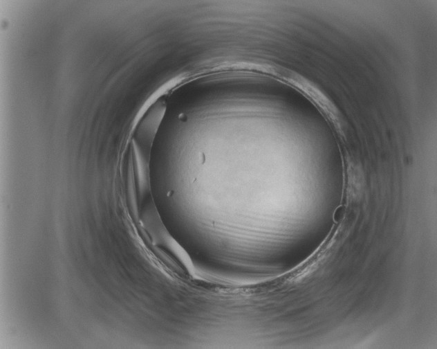 X0000083611198200702201241