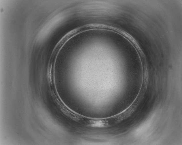 X0000083611199200702201241