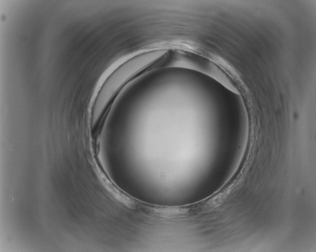 X0000083611200200702201241