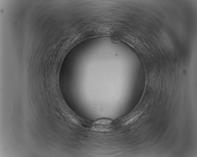 X0000083611201200702201240