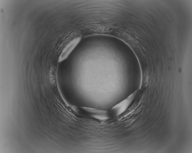 X0000083611202200702201240