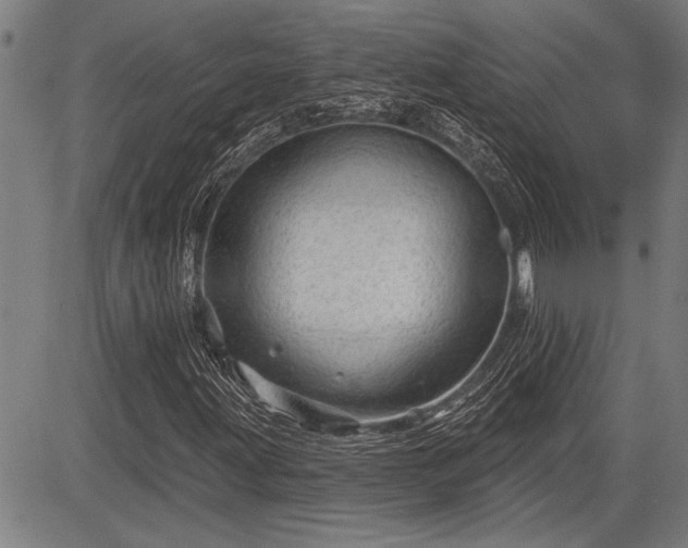 X0000083611203200702201240