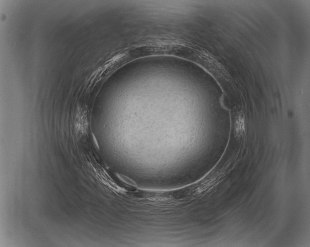 X0000083611204200702201240