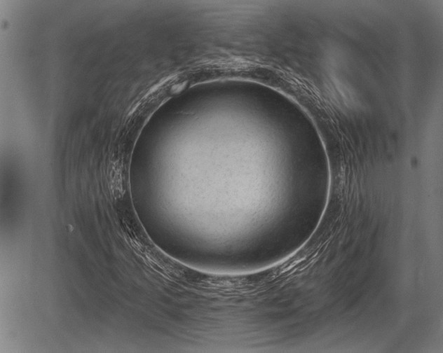 X0000083611205200702201240