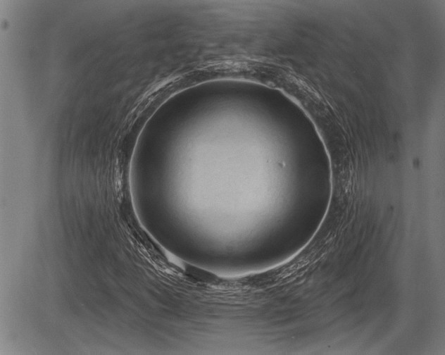 X0000083611206200702201241