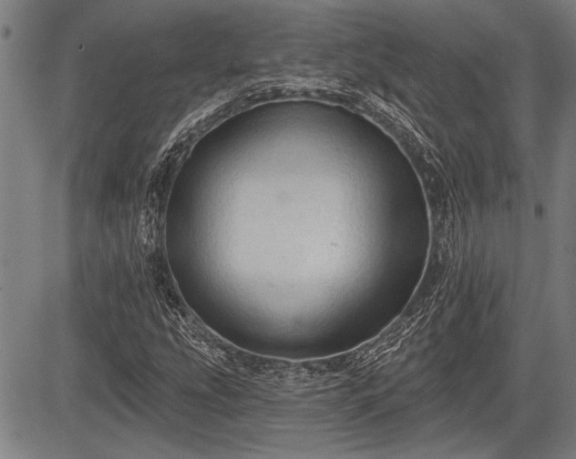 X0000083611207200702201241