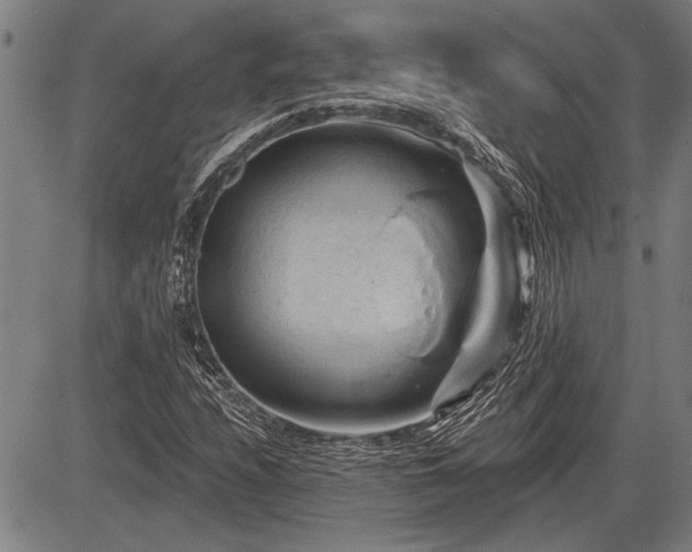 X0000083611208200702201241