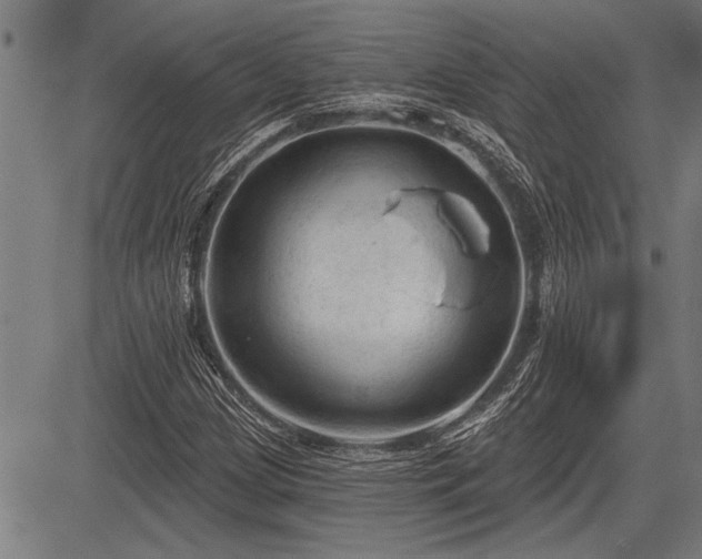 X0000083611209200702201241