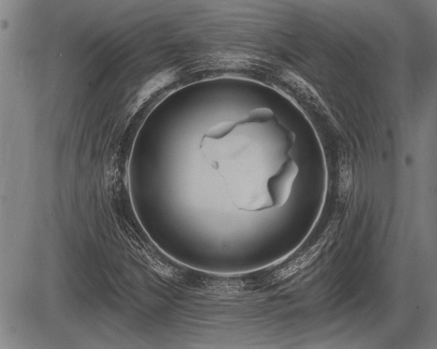 X0000083611210200702201241