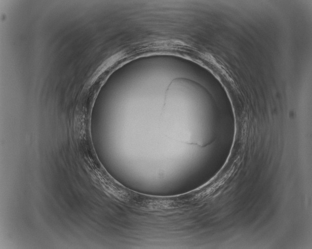 X0000083611211200702201241