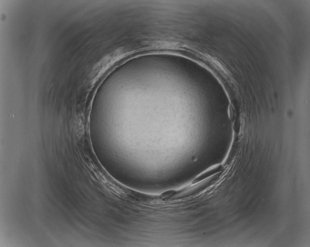 X0000083611212200702201241