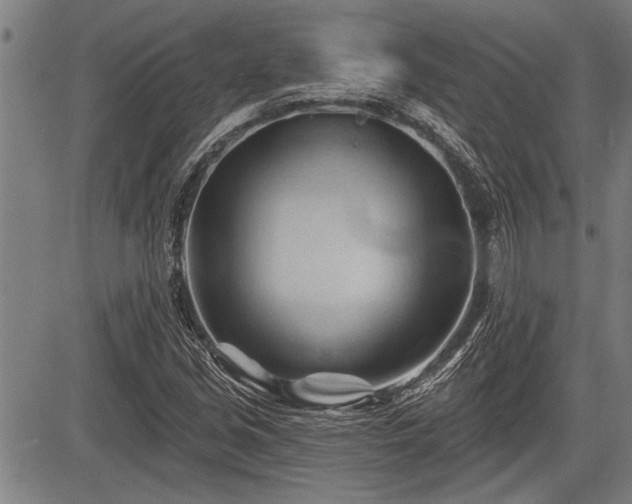 X0000083611213200702201241