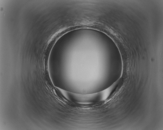 X0000083611214200702201241