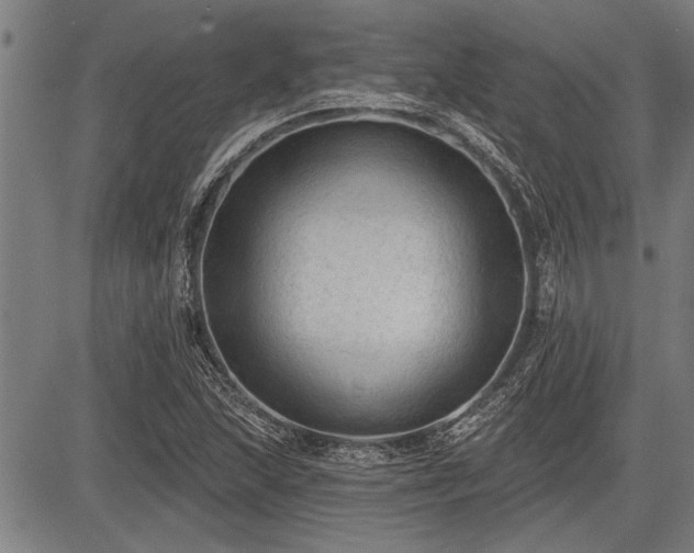 X0000083611215200702201241