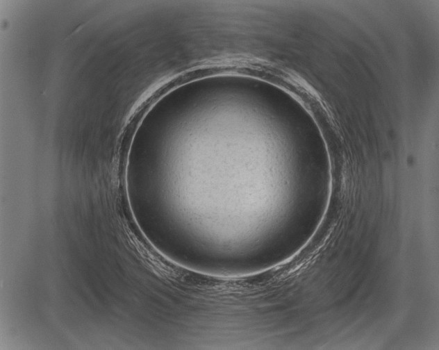 X0000083611216200702201241