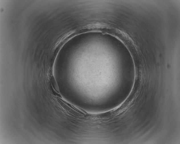 X0000083611217200702201241