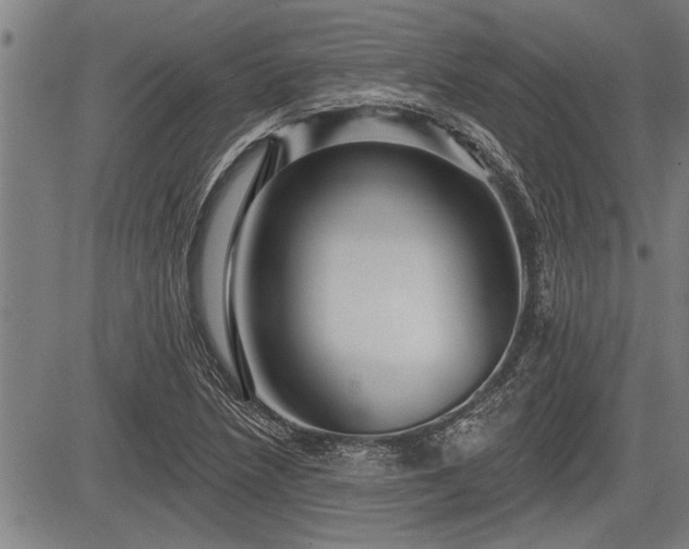 X0000083611218200702201241