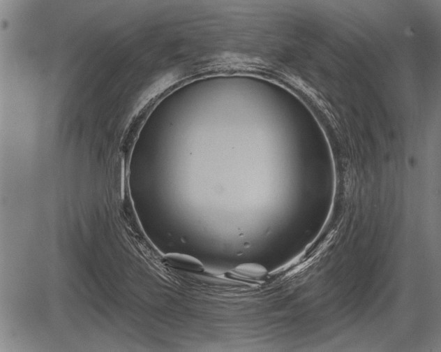 X0000083611219200702201241