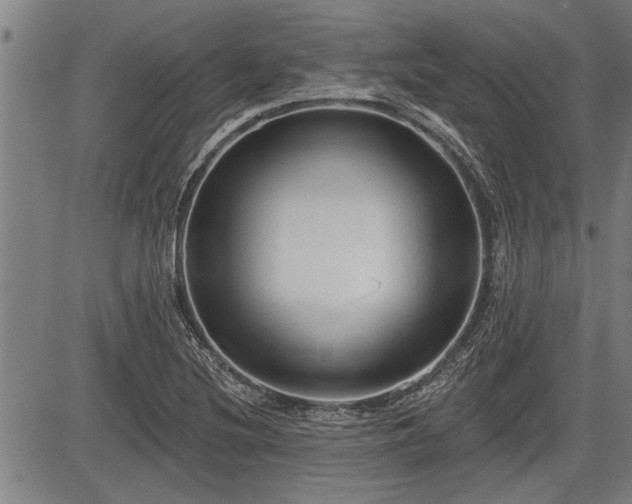 X0000083611220200702201241