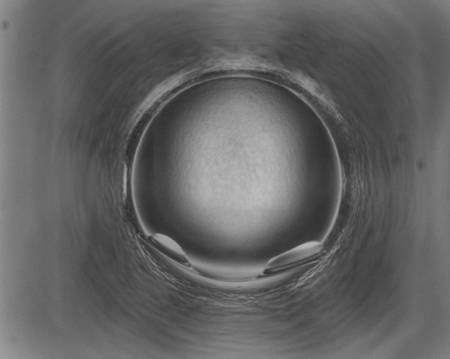 X0000083611221200702201241