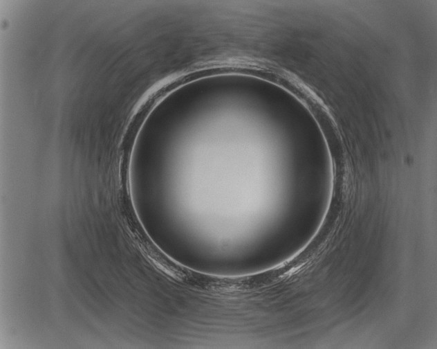 X0000083611222200702201241