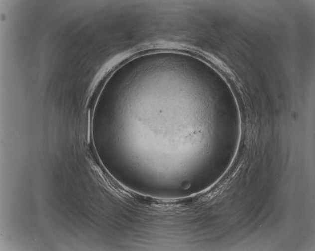 X0000083611223200702201241