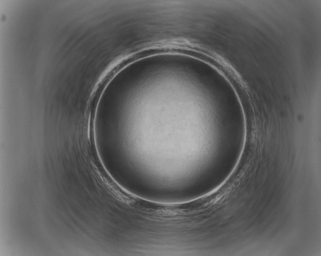 X0000083611224200702201241