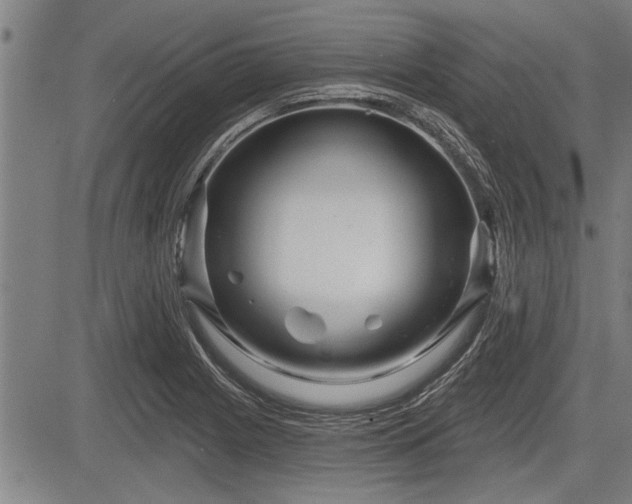 X0000083611225200702201241