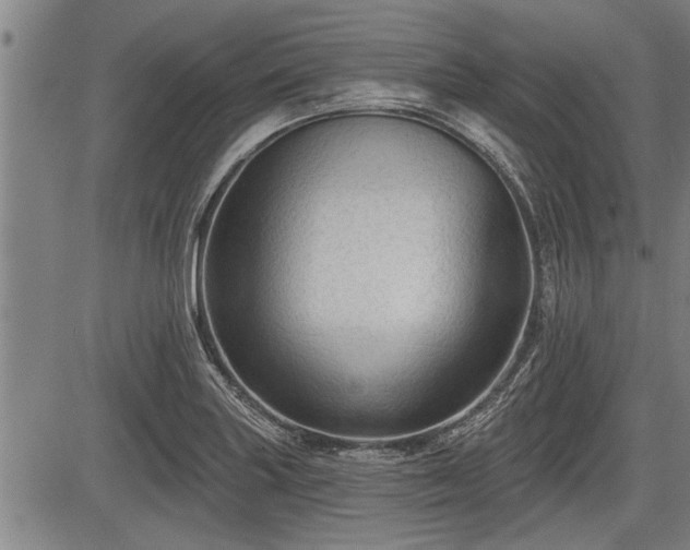 X0000083611227200702201241