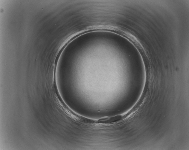 X0000083611228200702201241