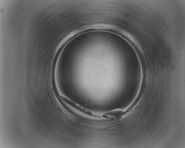 X0000083611229200702201241