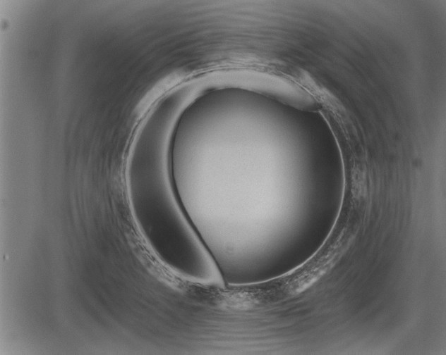 X0000083611230200702201241