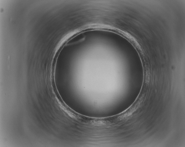 X0000083611231200702201241