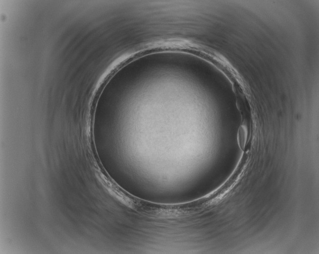 X0000083611232200702201241