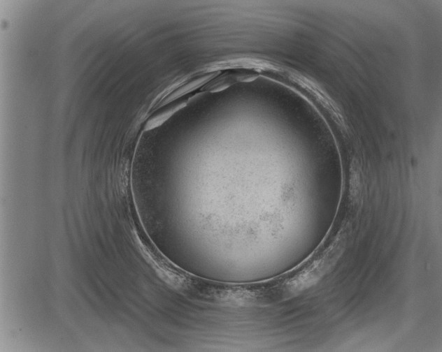 X0000083611233200702201241