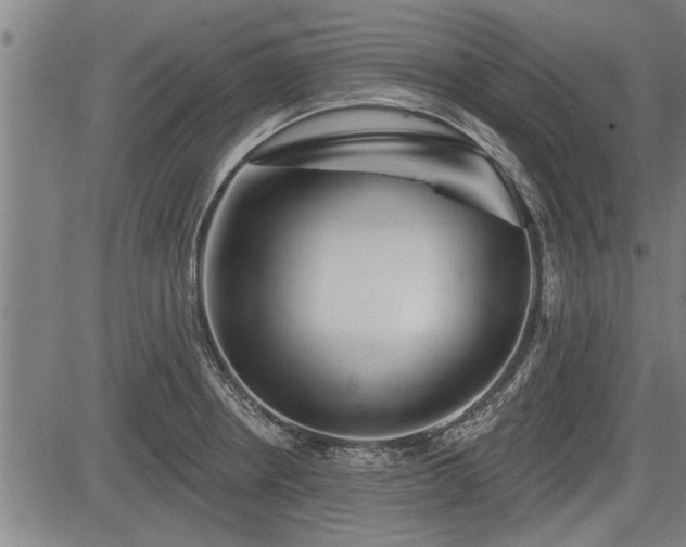 X0000083611234200702201241