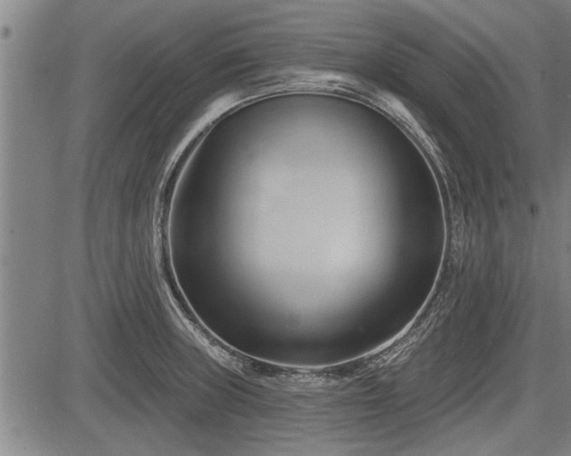 X0000083611235200702201241