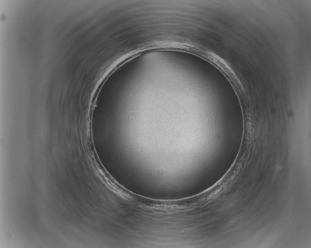 X0000083611236200702201241