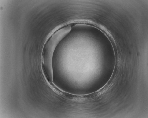 X0000083611237200702201241