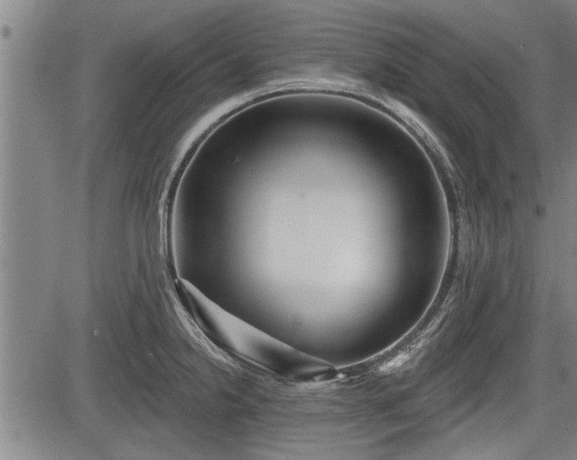 X0000083611238200702201241