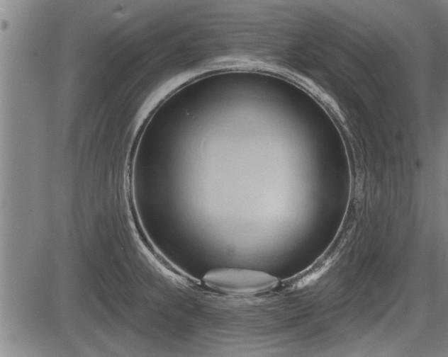 X0000083611239200702201241