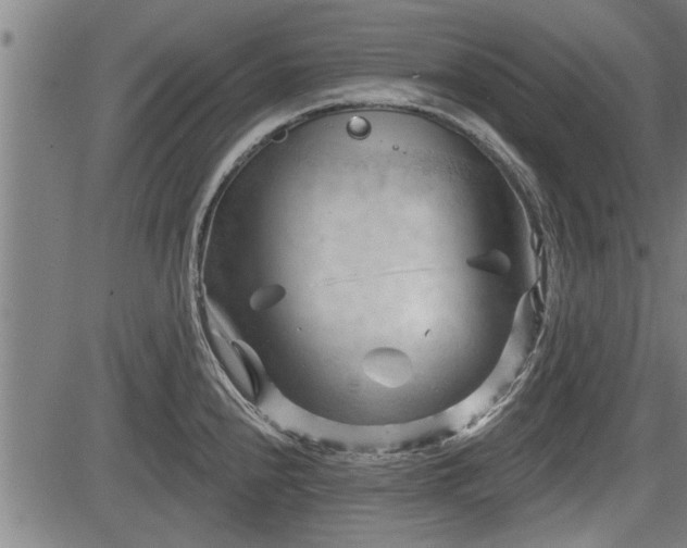 X0000083611240200702201241