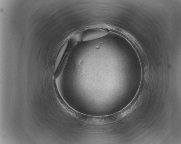 X0000083611241200702201241