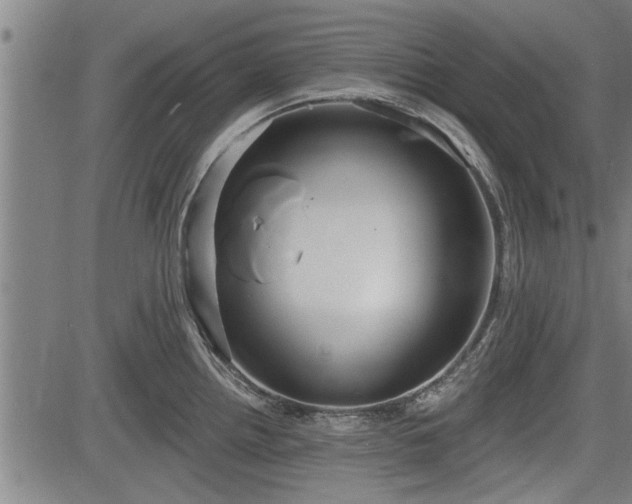 X0000083611242200702201241