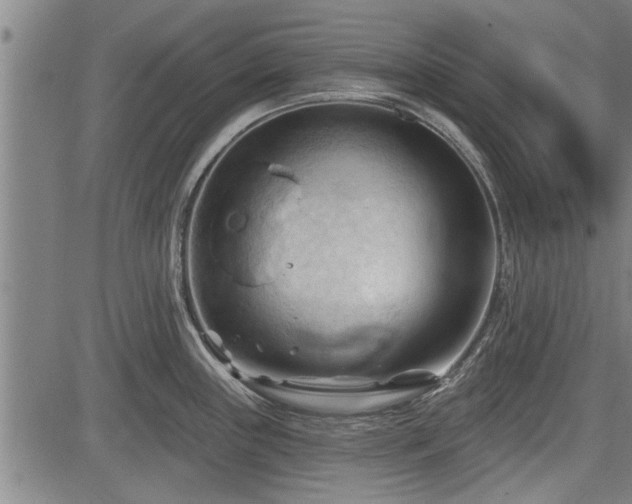 X0000083611243200702201241