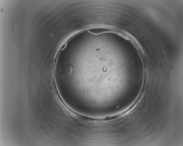 X0000083611244200702201241